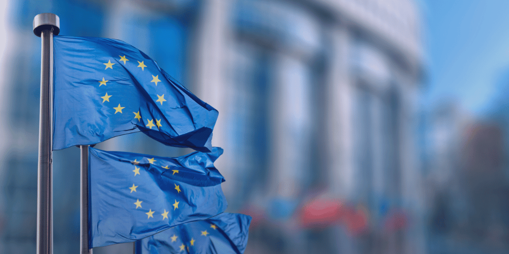 poya amiri - web design Europe